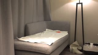 重磅泄密_文轩探花-苗条温柔的小姐姐太惹人爱换上丝袜惹人干