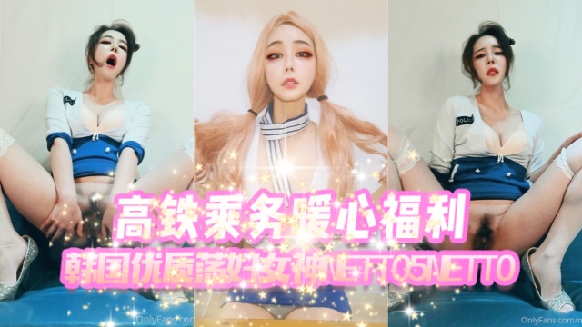 韩国优质荡妇女神 netto5netto（elegant netto） 高铁乘务暖心福利  OFZYCB81