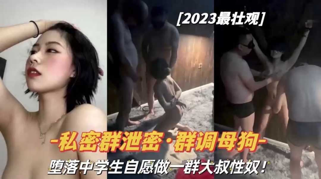 私密泄密群调母狗海报