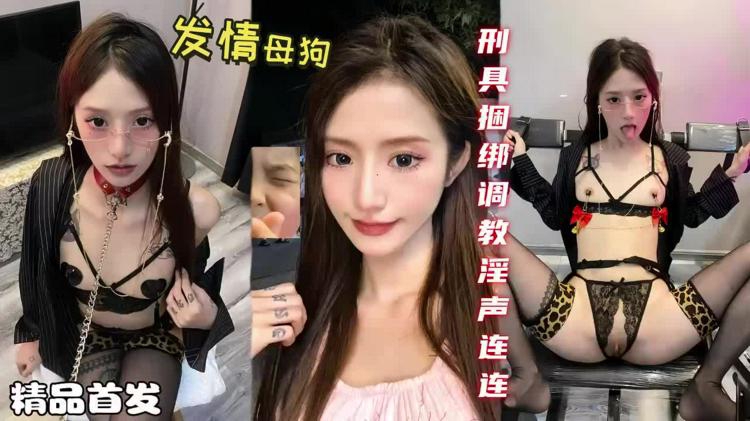发情母狗_极品美女田田_刑具捆绑调教淫声连连海报