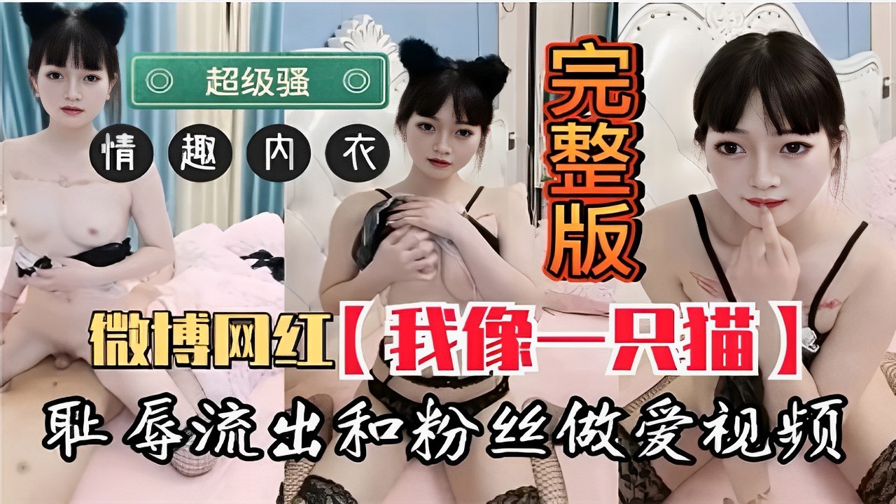 超级骚 情趣内衣 微博网红【我像一只描】耻辱流出和粉丝做爱视频