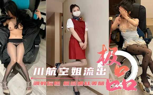 川航空姐流出调教极品黑丝美腿