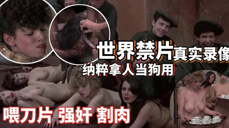 真实录像，世界禁片，纯粹拿人当狗用海报