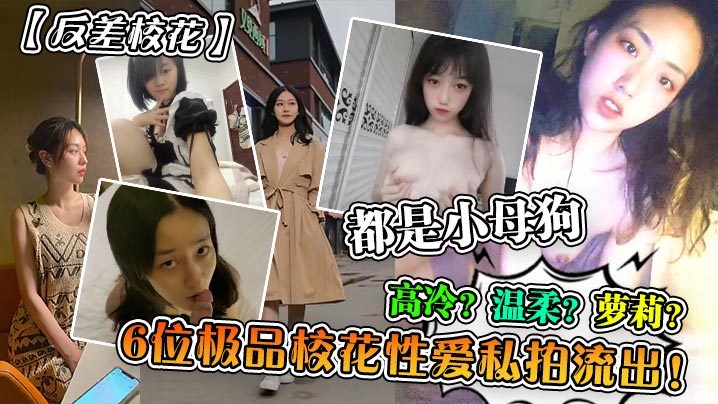 都是小母狗高冷? 温柔?罗莉?6位极品校花性爱私拍流出!